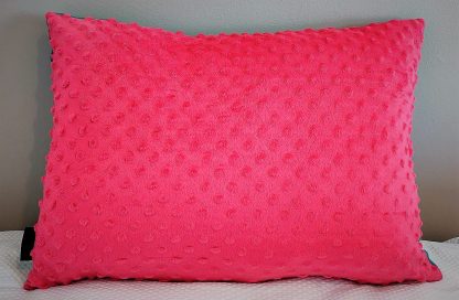 Limited Edition Pink and Turquoise Bold Coloured Beautiful Velvet Cushion