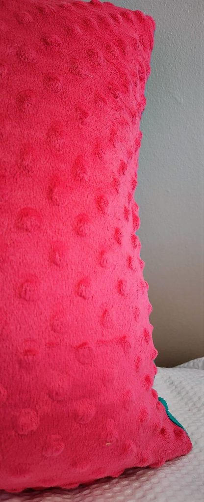 Limited Edition Pink and Turquoise Bold Coloured Beautiful Velvet Cushion - Image 6