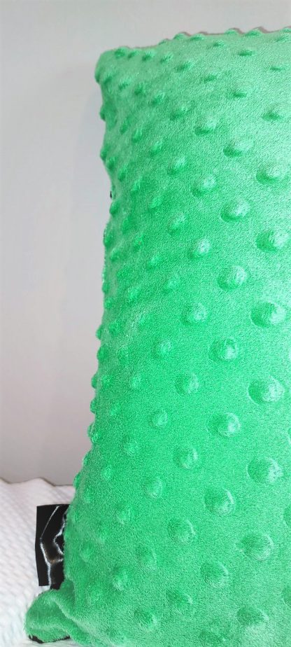 Limited Edition Black and Green Bold Coloured Beautiful Velvet Cushion - Image 4